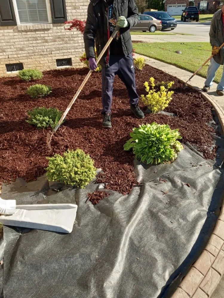 Professional yard maintenance for homes in Fayetteville, NC by Shad Earth Care Service
