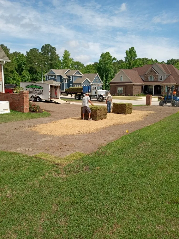 Professional landscape installation in Fayetteville, NC - Shad Earth Care Service