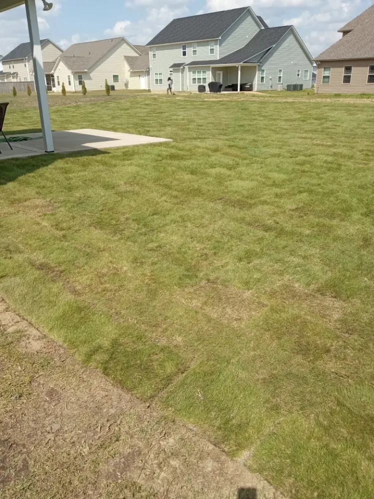 Trusted lawn care service in Fayetteville, NC by Shad Earth Care Service