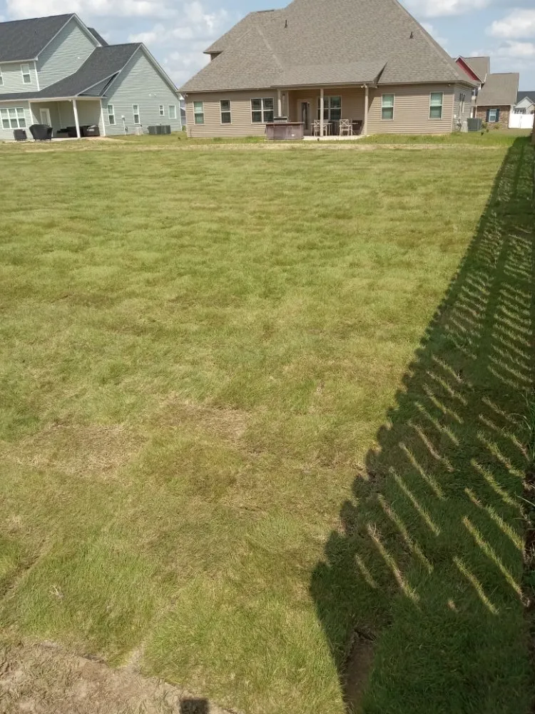 Custom yard cleanup service experts serving Fayetteville, NC - Shad Earth Care Service