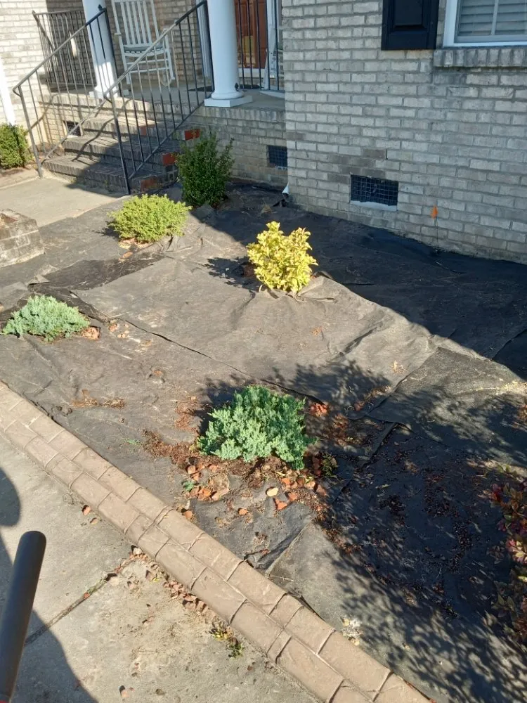 Top-rated landscape installation in Fayetteville, NC by Shad Earth Care Service