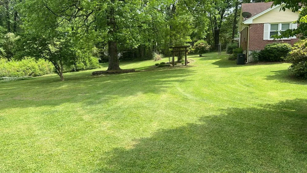 Reliable outdoor landscaping for homes in Jonesboro, GA by Shadd lawncare