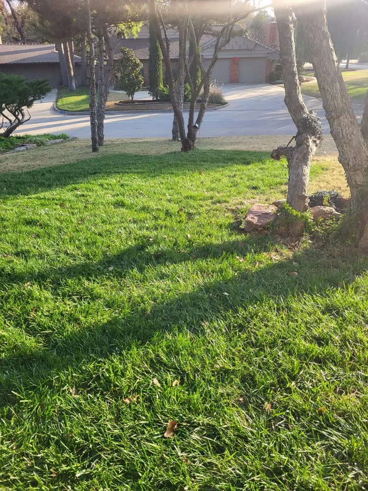 Trusted landscape design in Oklahoma City, OK - Shadday Remodel & Landscaping