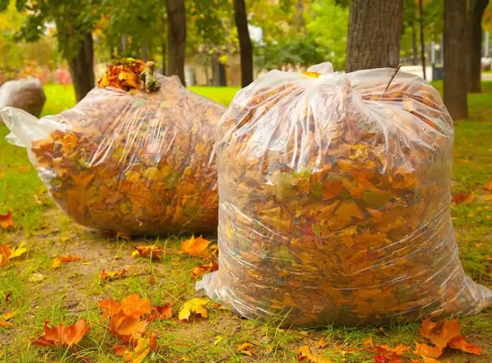 Affordable landscape design in Fayetteville, NC - Shade Line Lawn Care