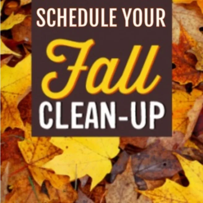 Affordable landscaping services for residential properties in Fayetteville, NC by Shade Line Lawn Care