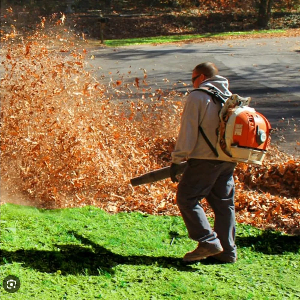 Professional residential landscaping in Fayetteville, NC by Shade Line Lawn Care