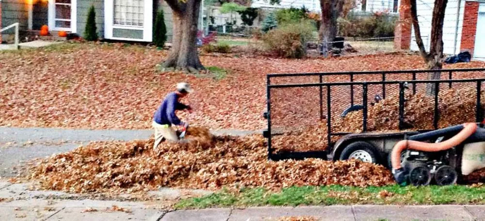Affordable landscape installation in Fayetteville, NC by Shade Line Lawn Care