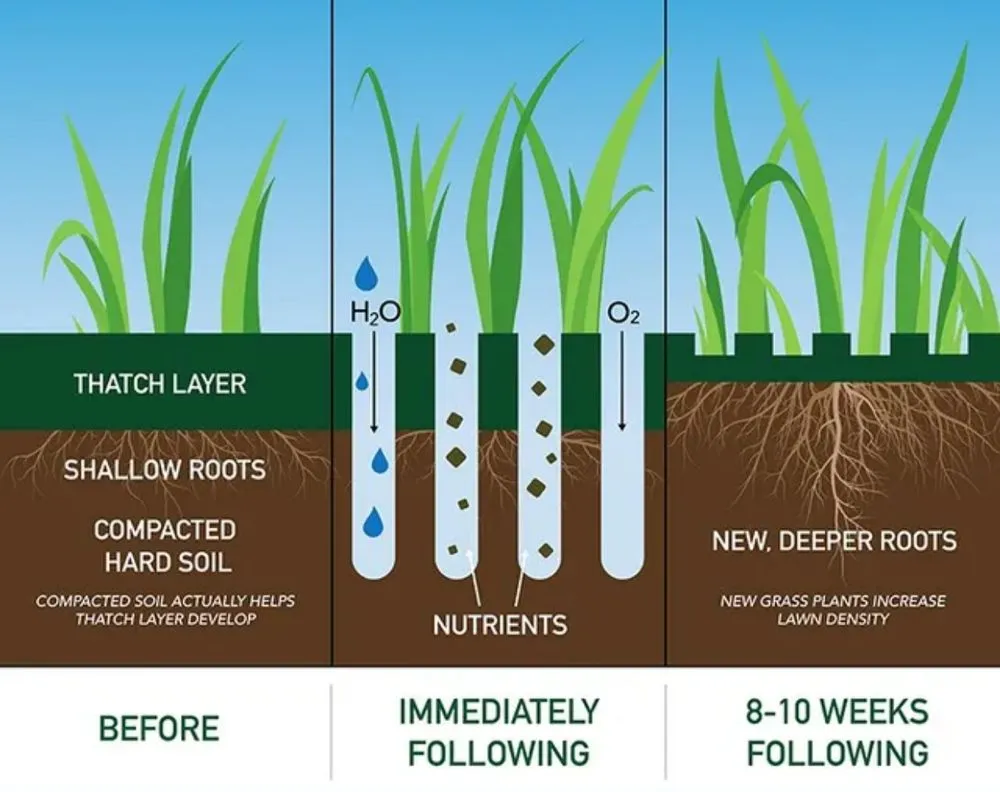 Expert lawn mowing service experts serving Fayetteville, NC - Shade Line Lawn Care