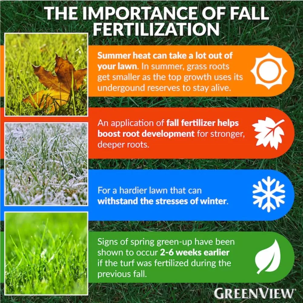 Top-rated yard maintenance for year-round maintenance in Fayetteville, NC by Shade Line Lawn Care