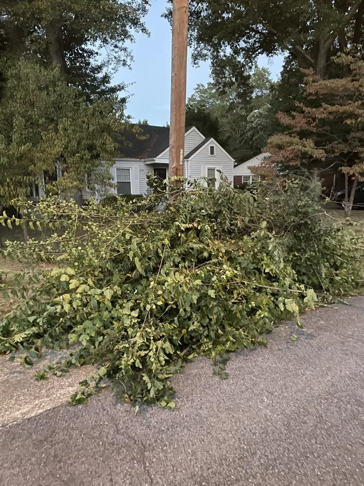Trusted landscape installation in Chattanooga, TN - Shade Tree Landscaping