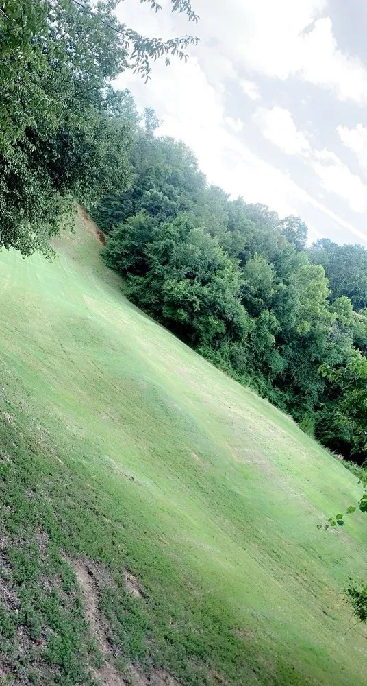 Trusted lawn care service in Chattanooga, TN by Shade Tree Landscaping