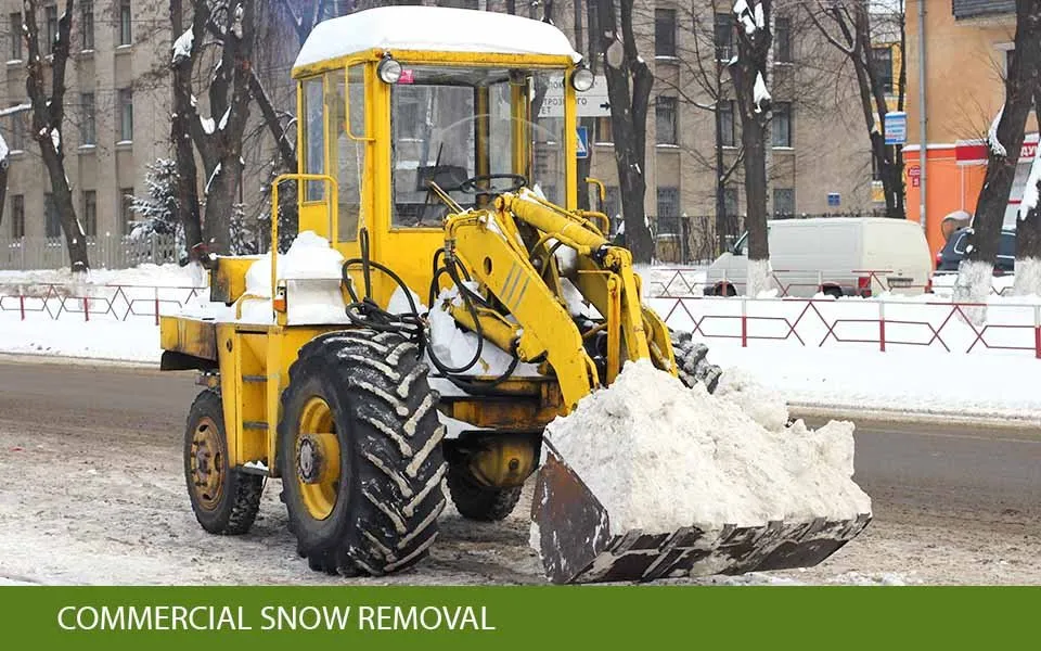 Custom garden landscaping in Frederick, MD by Shade Tree Landscaping