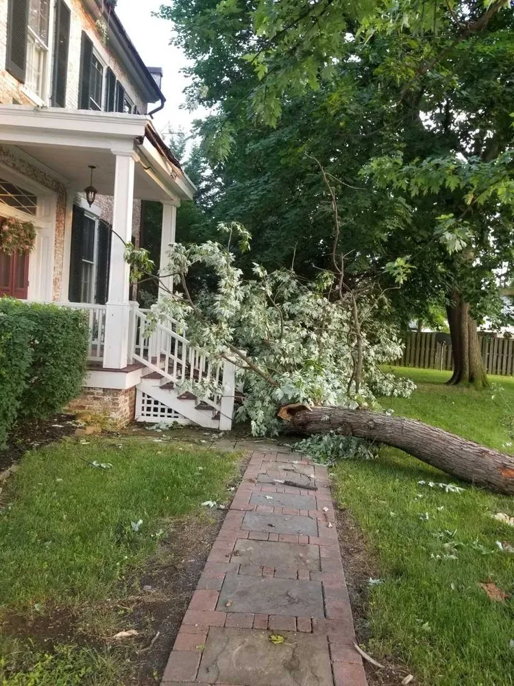 Reliable outdoor landscaping for outdoor upgrades in Frederick, MD by Shade Tree Landscaping