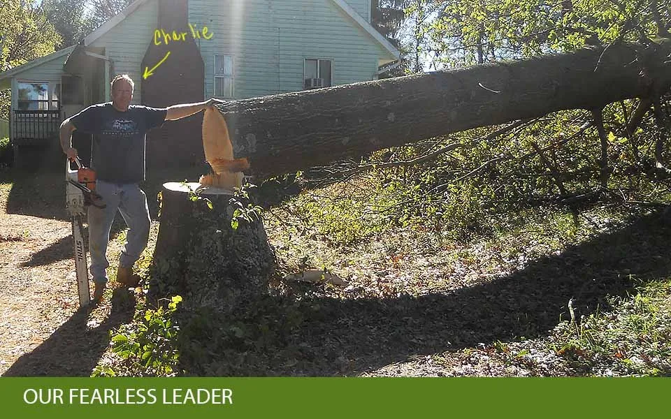 Custom yard cleanup service in Frederick, MD by Shade Tree Landscaping