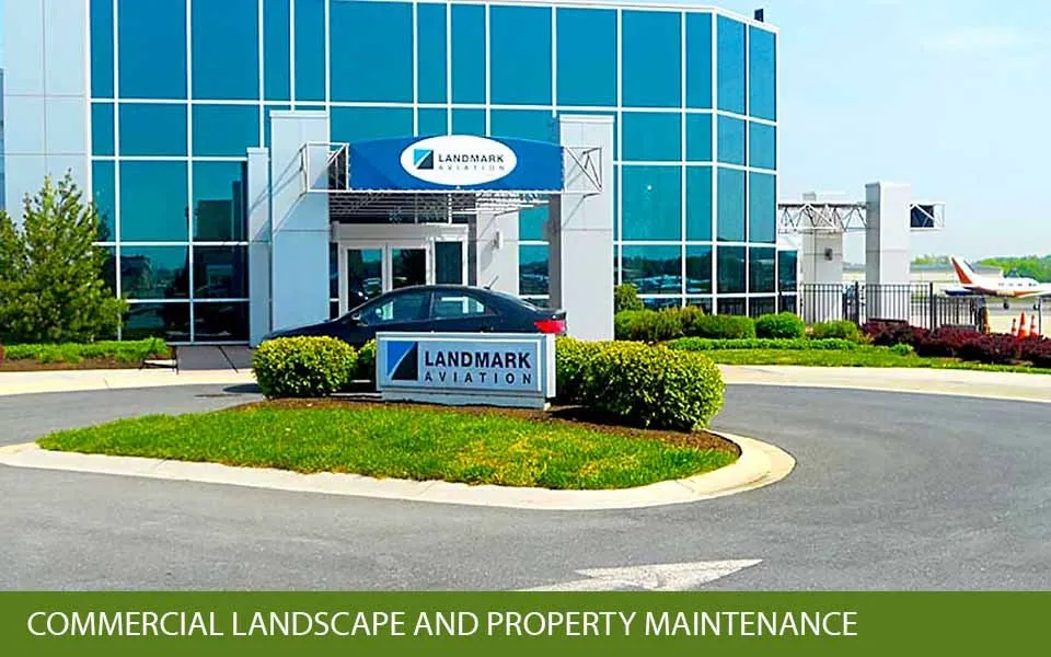 Expert landscape design in Frederick, MD by Shade Tree Landscaping