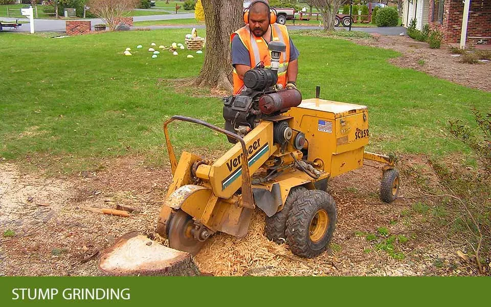 Top-rated outdoor landscaping in Frederick, MD by Shade Tree Landscaping