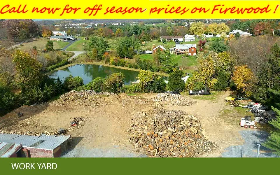 Trusted landscaping services near you in Frederick, MD by Shade Tree Landscaping