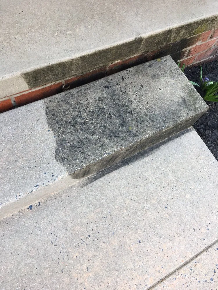 Expert landscaping services in Frederick, MD by Shade Tree Landscaping