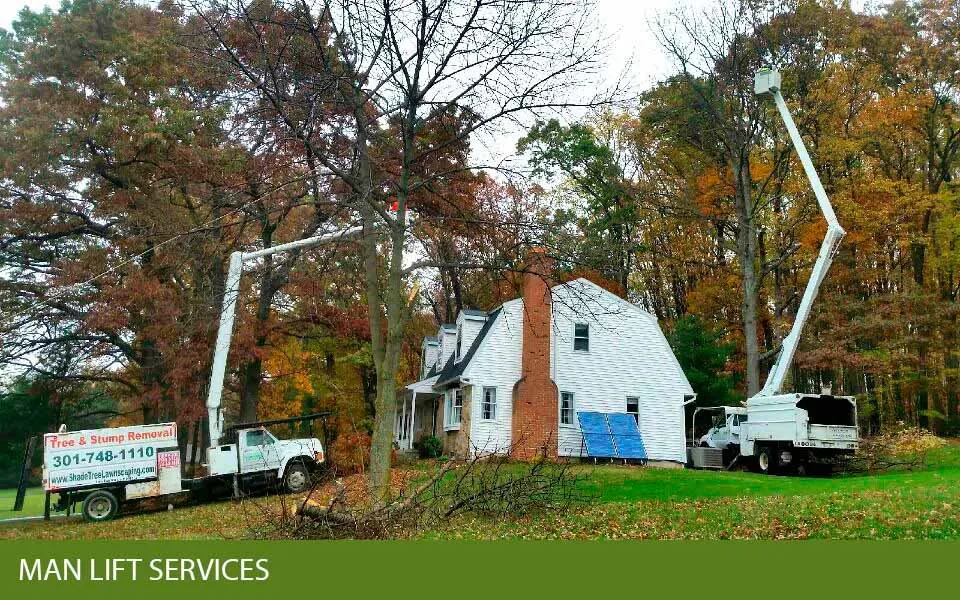 Reliable landscape design experts serving Frederick, MD - Shade Tree Landscaping