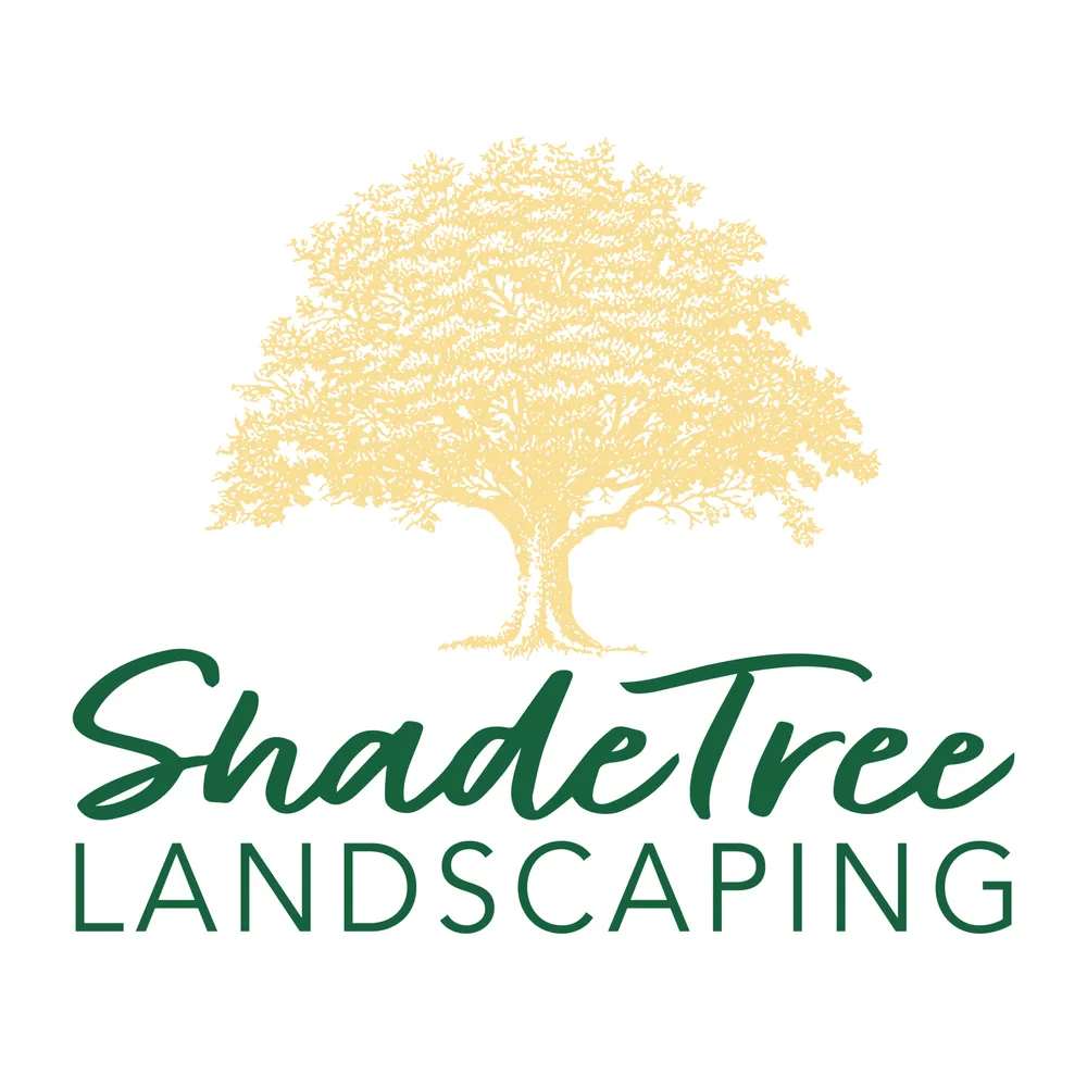 Trusted yard cleanup service in Richardson, TX - Shade Tree Landscaping