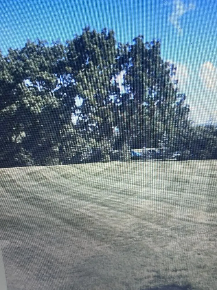 Custom lawn care service with custom design across Alburtis, PA - Shade Tree Lawn & Landscaping