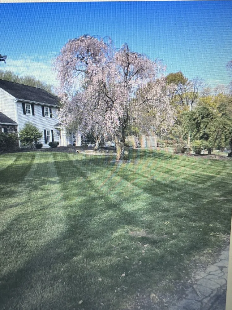 Top-rated landscaping services in Alburtis, PA - Shade Tree Lawn & Landscaping