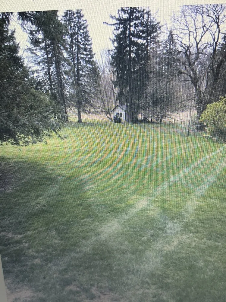 Custom landscaping services for year-round maintenance across Alburtis, PA - Shade Tree Lawn & Landscaping