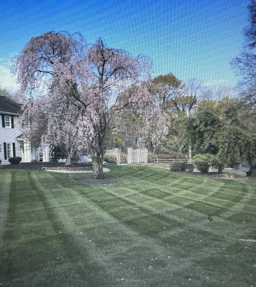 Affordable yard cleanup service for outdoor upgrades across Alburtis, PA - Shade Tree Lawn & Landscaping