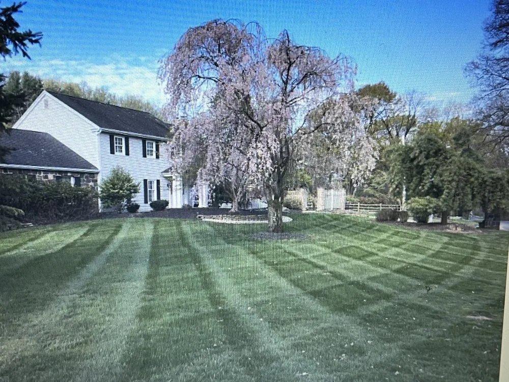 Reliable outdoor landscaping experts serving Alburtis, PA - Shade Tree Lawn & Landscaping