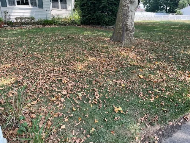 Reliable residential landscaping for beautiful yards across Tennent, NJ - Shade Tree Lawn & Landscapling