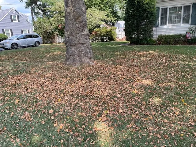 Expert residential landscaping in Tennent, NJ - Shade Tree Lawn & Landscapling