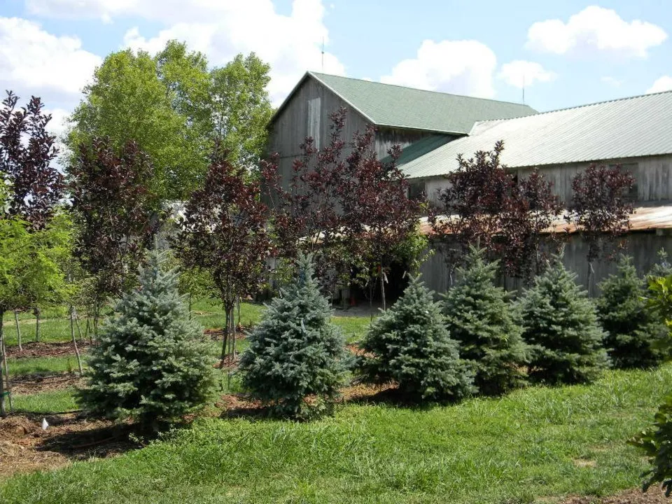 Trusted yard maintenance in Oxford, OH by Shademakers Nursery & Landscape