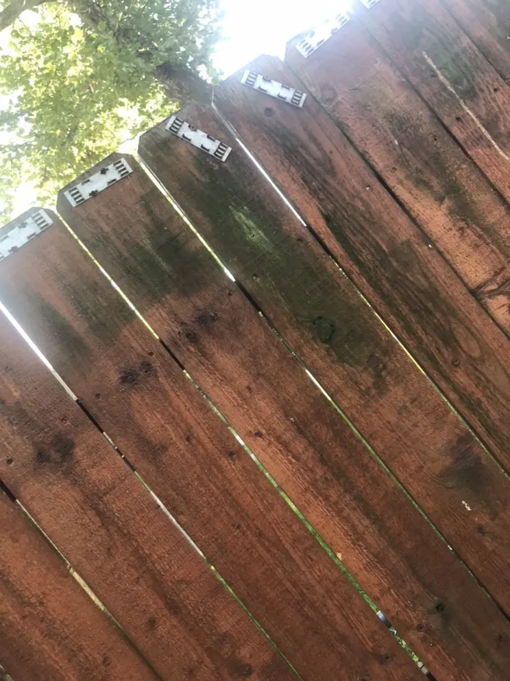 Professional lawn care service in Chicago, IL by Shades Of Green