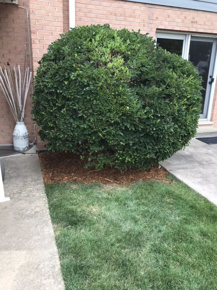 Expert residential landscaping in Chicago, IL by Shades Of Green