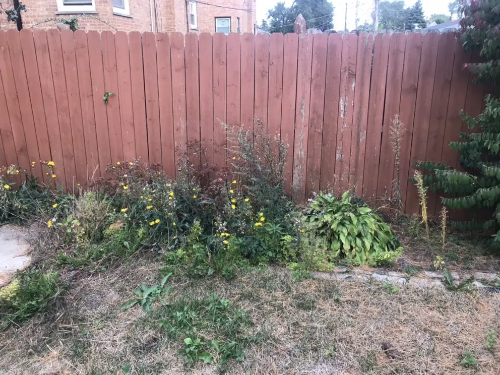 Professional yard cleanup service for beautiful yards in Chicago, IL by Shades Of Green