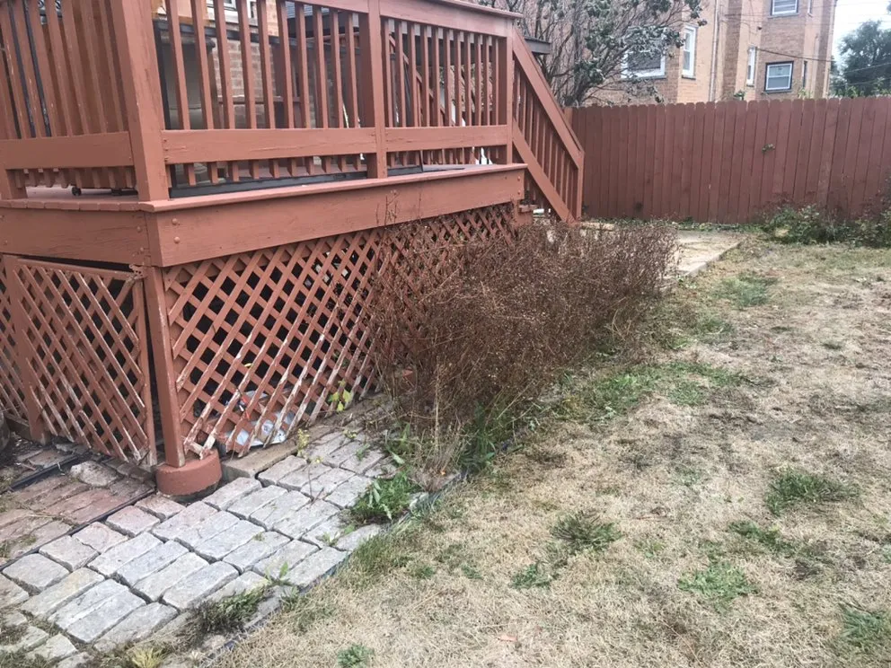 Professional landscape installation in Chicago, IL by Shades Of Green