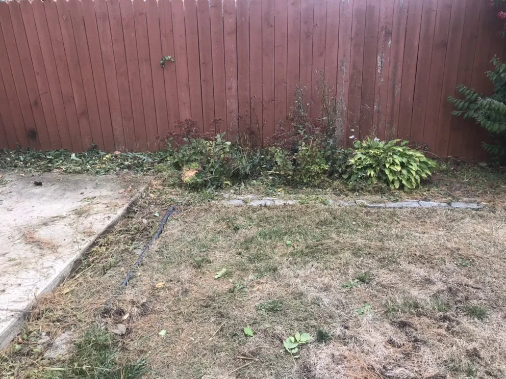 Custom landscape design in Chicago, IL by Shades Of Green