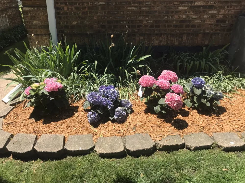 Local residential landscaping in Chicago, IL - Shades Of Green