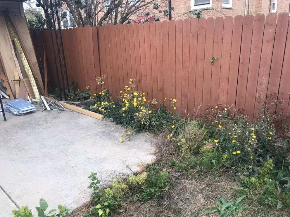 Trusted landscaping services in Chicago, IL - Shades Of Green