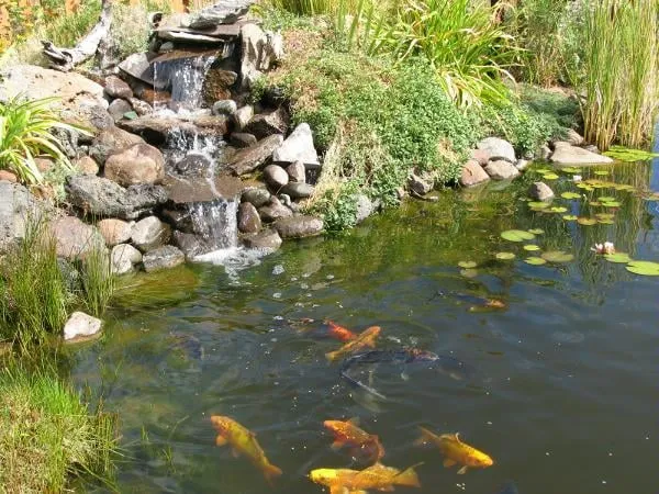 Custom lawn mowing service experts serving Klamath Falls, OR - Shades of Green