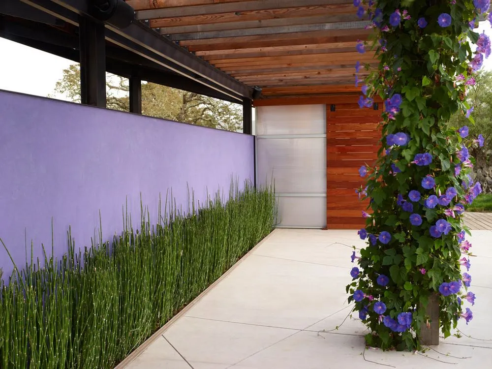 Professional residential landscaping in Sausalito, CA by Shades Of Green Landscape Architecture