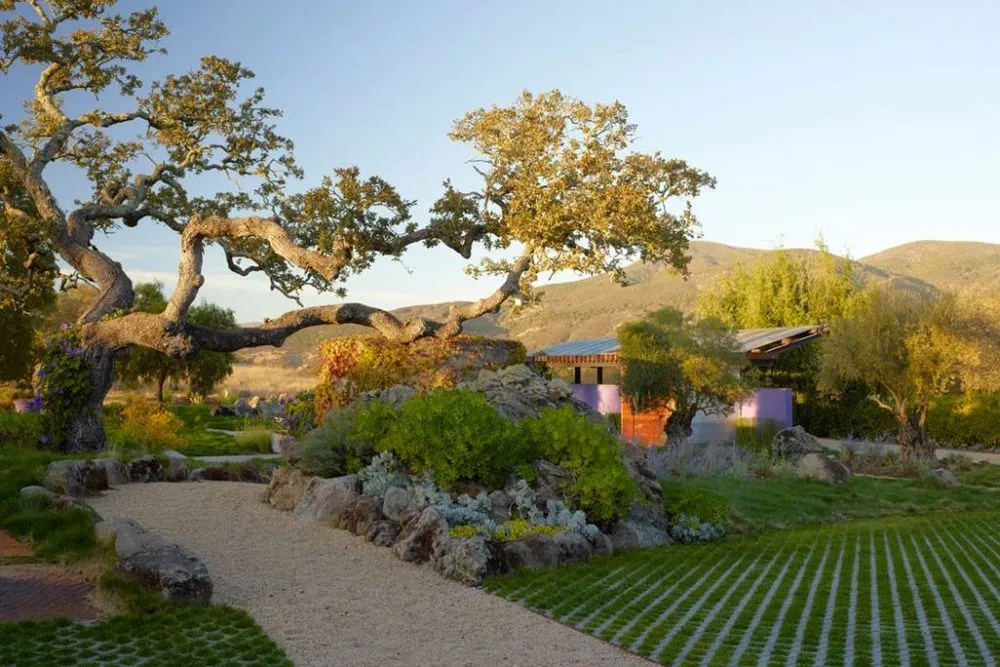 Professional landscaping services for outdoor upgrades across Sausalito, CA - Shades Of Green Landscape Architecture