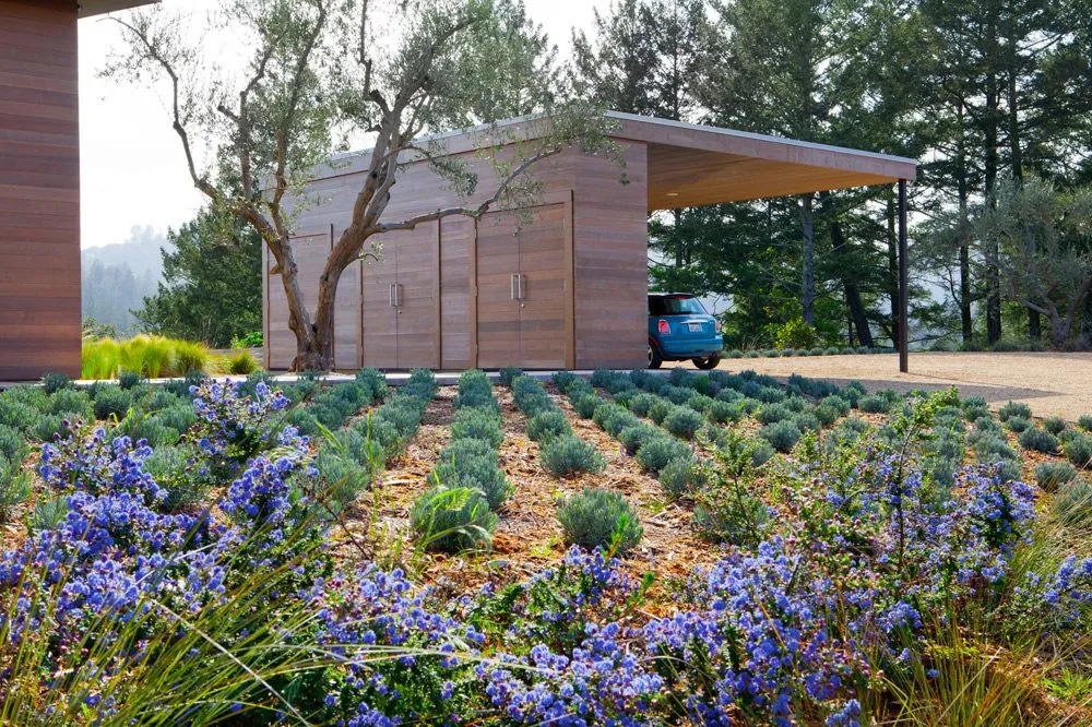 Reliable lawn care service for homes across Sausalito, CA - Shades Of Green Landscape Architecture