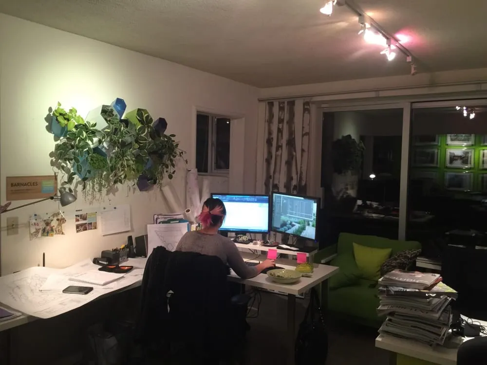 Professional yard maintenance for beautiful yards in Sausalito, CA by Shades Of Green Landscape Architecture