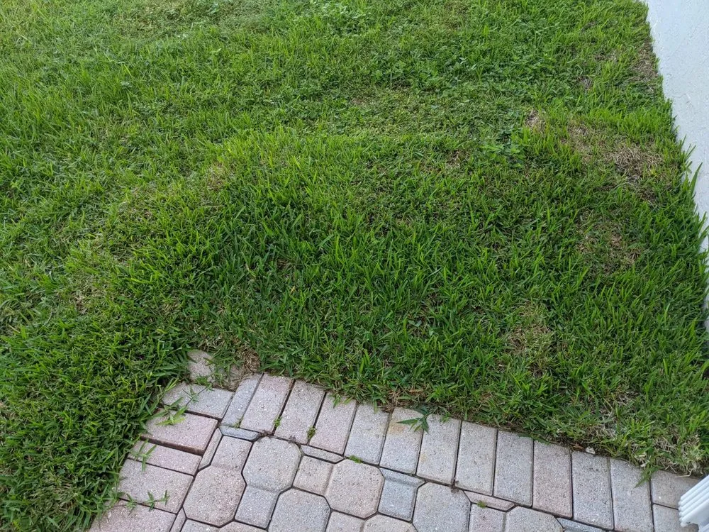 Trusted yard cleanup service for homes in Pompano Beach, FL by Shades of Green Landscaping