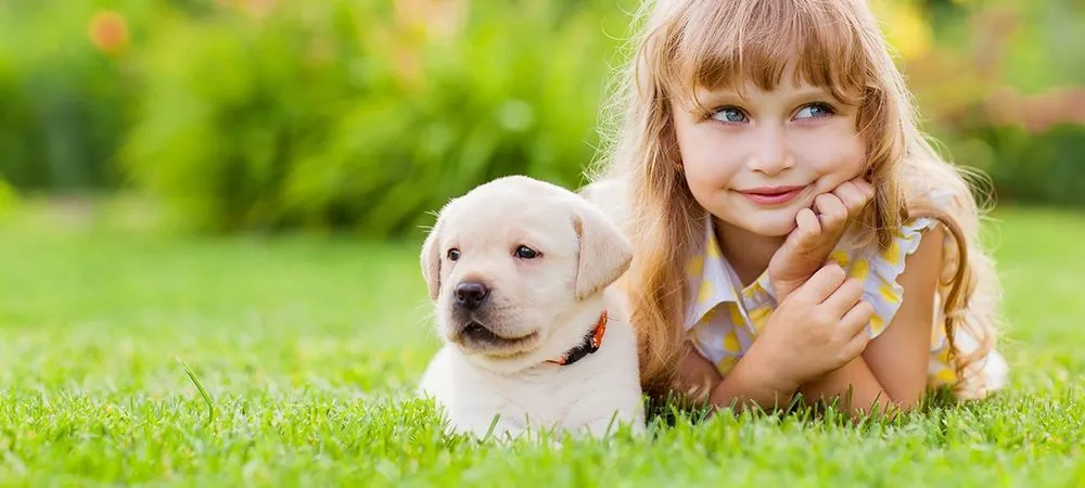 Top-rated yard cleanup service for residential properties in Lafayette, IN by Shades of Green Lawn & Landscape