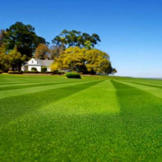 Expert landscape design in Lafayette, IN - Shades of Green Lawn & Landscape