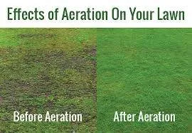 Professional landscaping services in Lafayette, IN - Shades of Green Lawn & Landscape