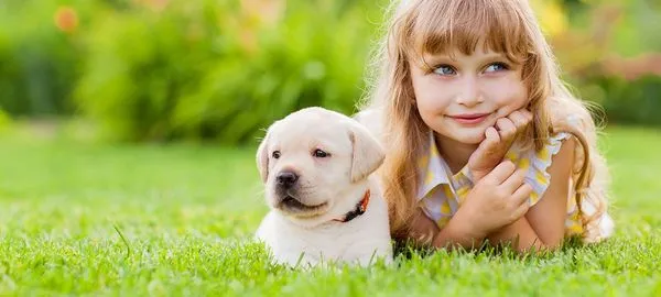 Shades of Green Lawn & Landscape Logo