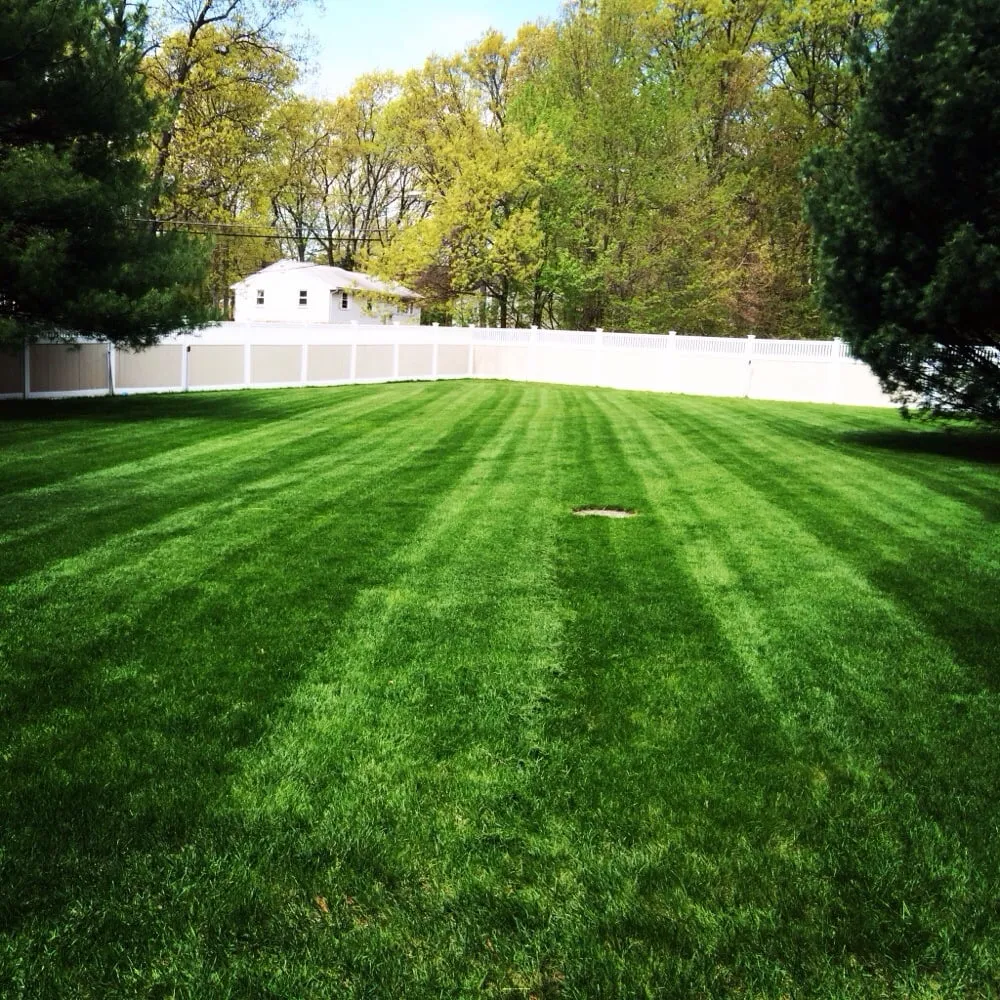 Affordable yard cleanup service experts serving Milford, MA - Shades of Green Lawn & Landscaping